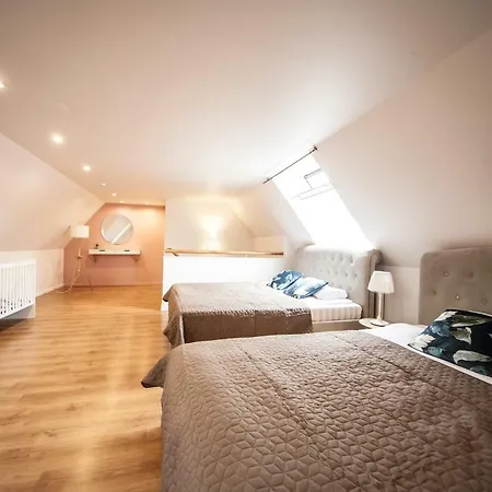 2 Level In Old Town * Riga