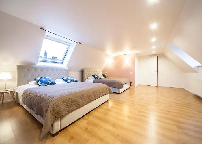 2 Level In Old Town 公寓 里加