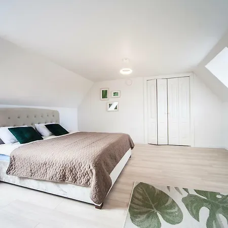 Apartment 2 Level In Old Town Riga