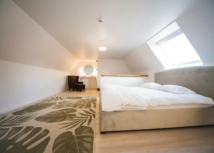 Apartment 2 Level In Old Town